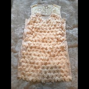 Champagne and Strawberry cocktail dress size 6